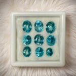 9 circone in a white box